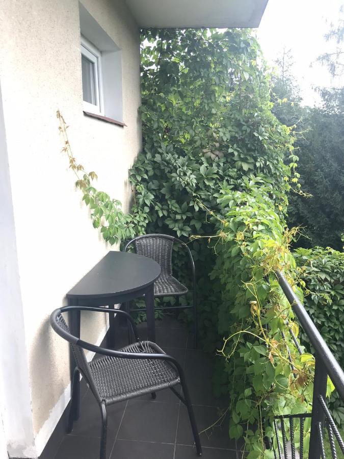 Noclegi Nad Potokiem Czarna  Exterior foto